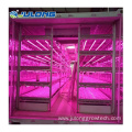 Mushroom Container Greenhouse with Hydroponic Growing System